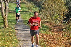 Foto vom Rothaarsteig Marathon 2018 - 146537