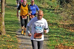 Foto vom Rothaarsteig Marathon 2018 - 146315
