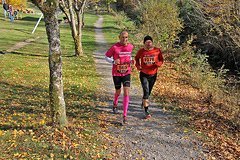 Foto vom Rothaarsteig Marathon 2018 - 146473