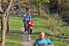 Foto vom Rothaarsteig Marathon 2018 - 146108