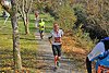Rothaarsteig Marathon 2018 (145993)