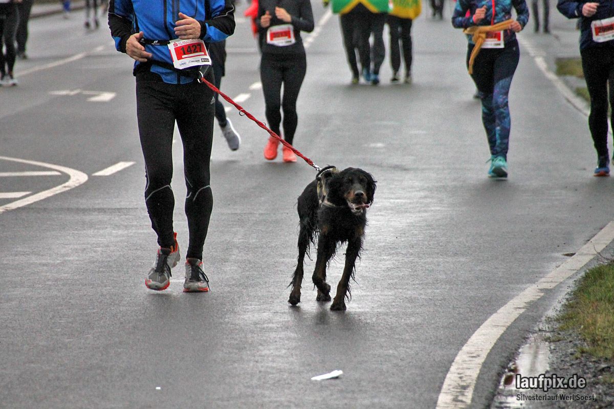 Silvesterlauf Werl Soest 2018 - 1990