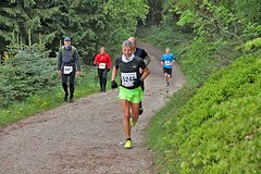 Hermannslauf 2025 Fotos und Ergebnisse