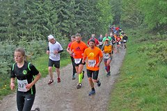 Hermannslauf 2025 Fotos und Ergebnisse