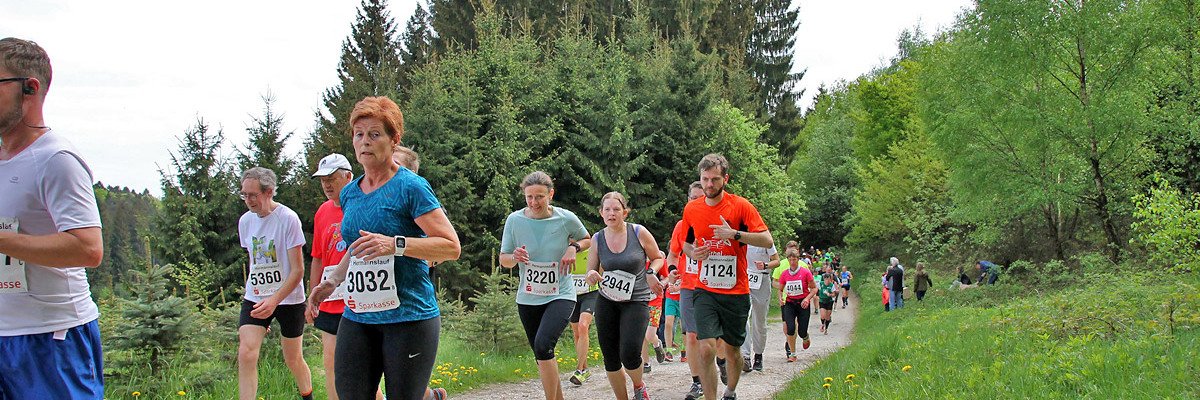 Rthener Bibertal-Volkslauf und Bergstadt-Marathon  2014