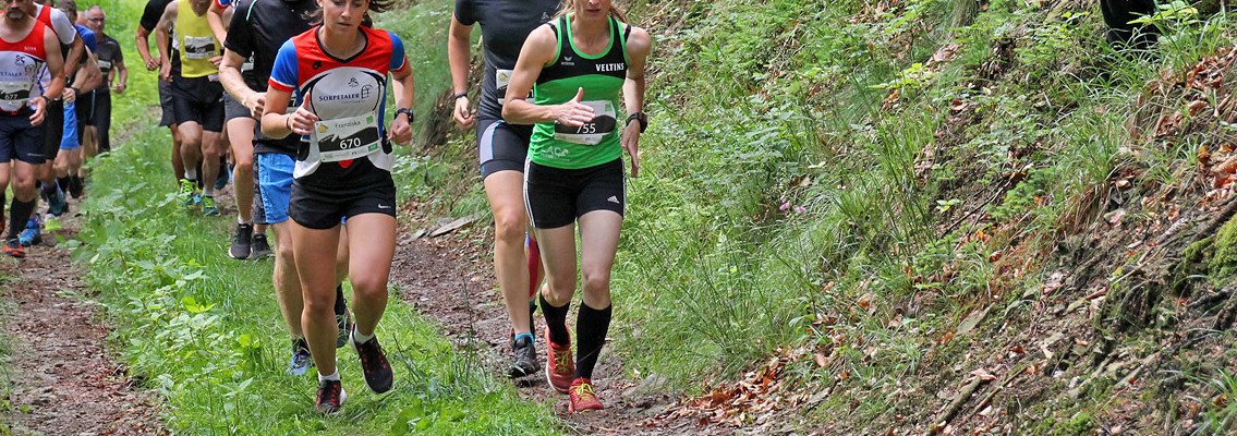 Squak Mountain 12K, Half-Marathon and 50K Trail Run  2015