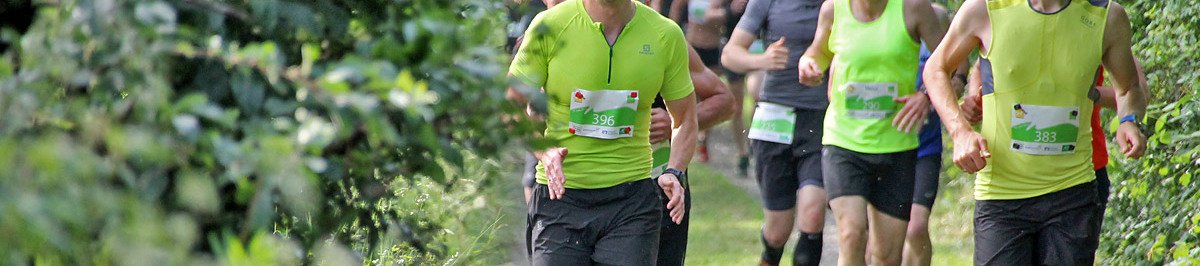 Luisenturmlauf 2020 Luisenturmlauf 2020