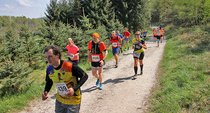 Schwarzwald-Marathon 2022