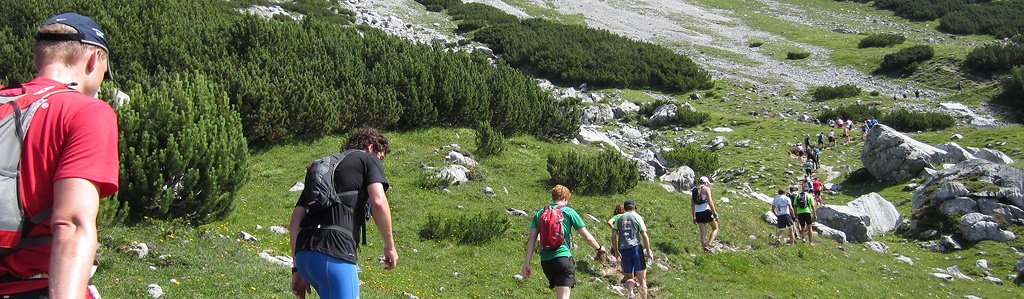 Laufkalender Trailrunning Laufkalender Trailrunning
