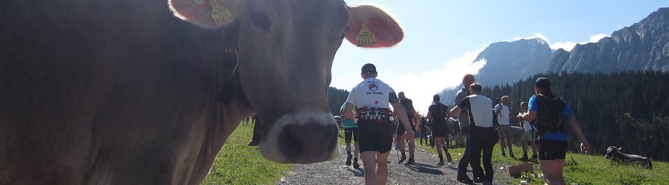 Plänterwaldlauf 2018 Plänterwaldlauf 2018