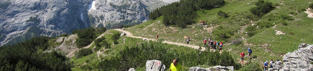 Trainingsplan Feengrottenpokal im Berglaufen
